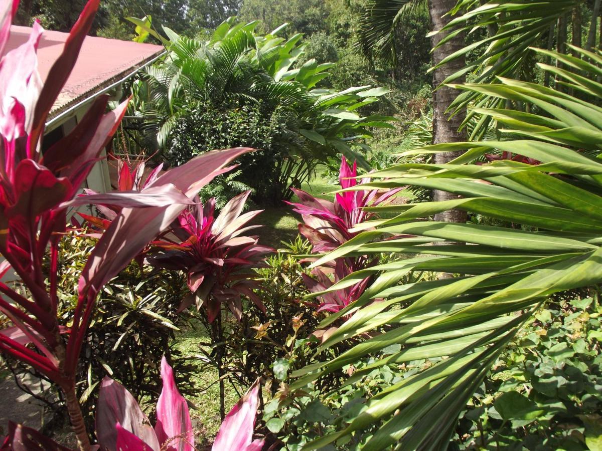Les Jardins De L'Esperance Villa บูญองต์ ภายนอก รูปภาพ